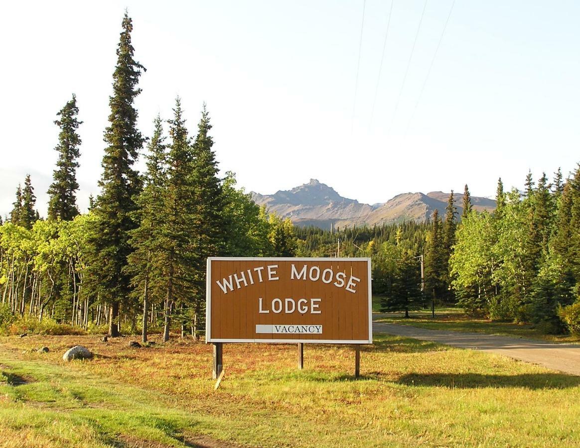 White Moose Lodge Хили Экстерьер фото