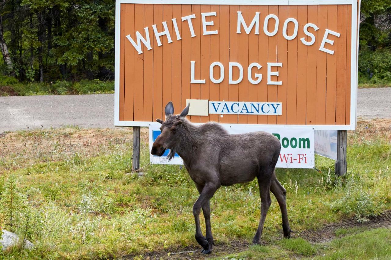 White Moose Lodge Хили Экстерьер фото