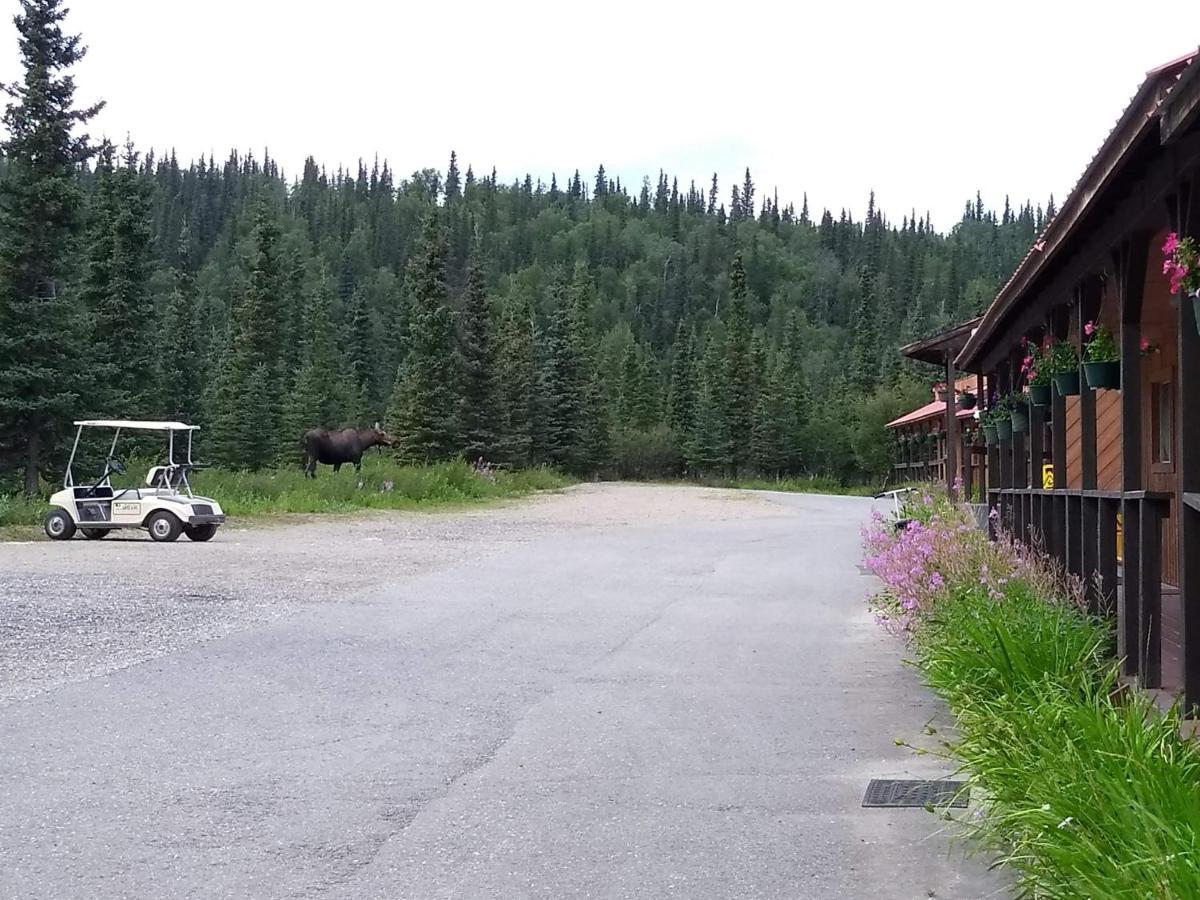 White Moose Lodge Хили Экстерьер фото